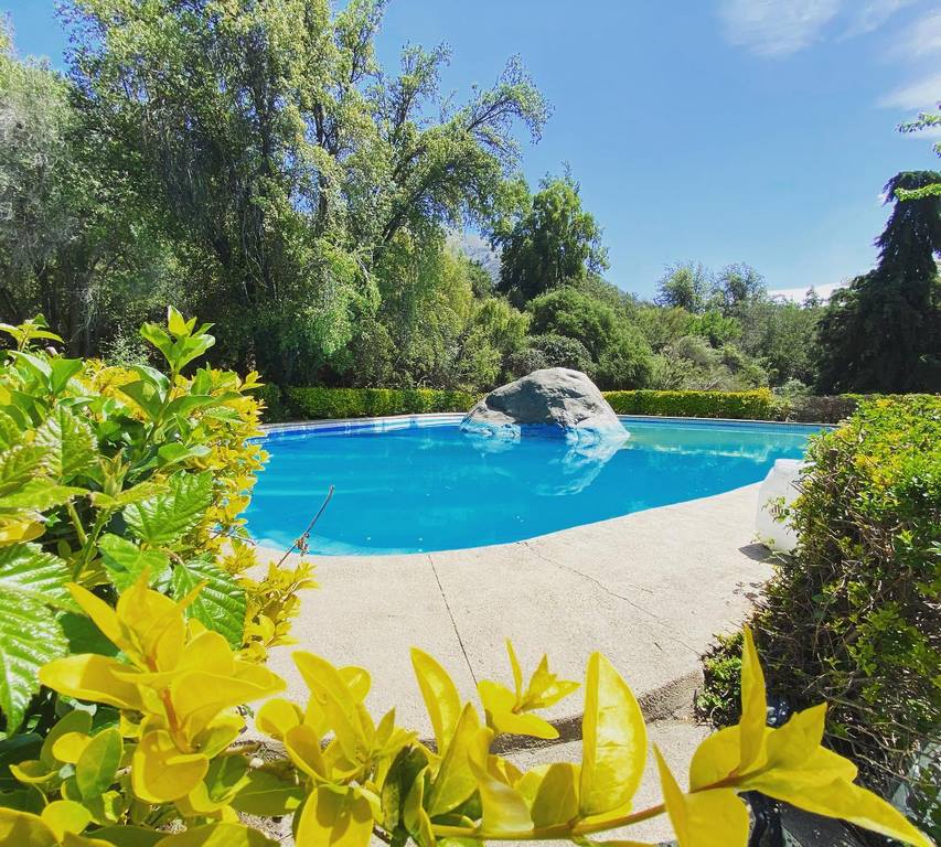 Piscina de Camping La Isla con personas bañándose y arbustos amarillos alrededor