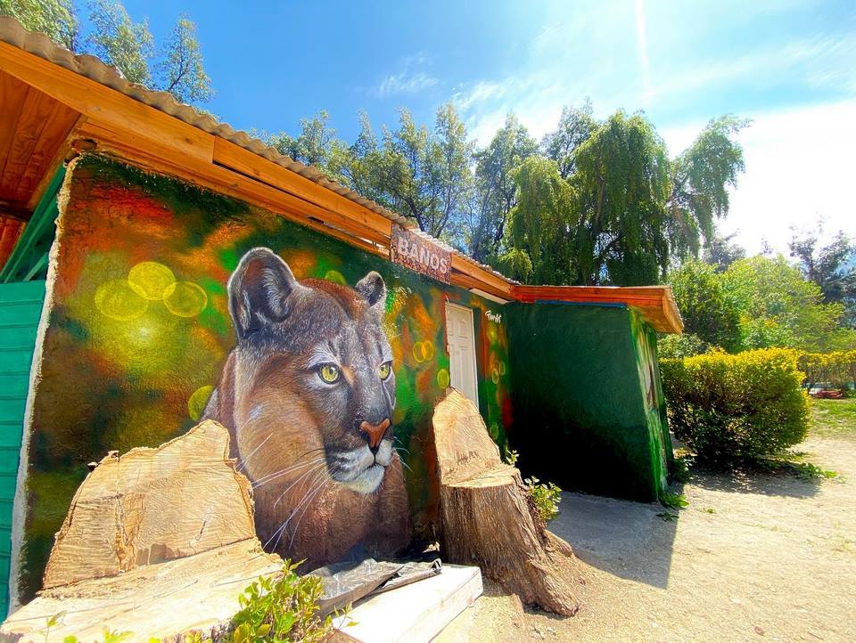 Piscina de Camping La Isla rodeada de vegetación en el Cajón del Maipo