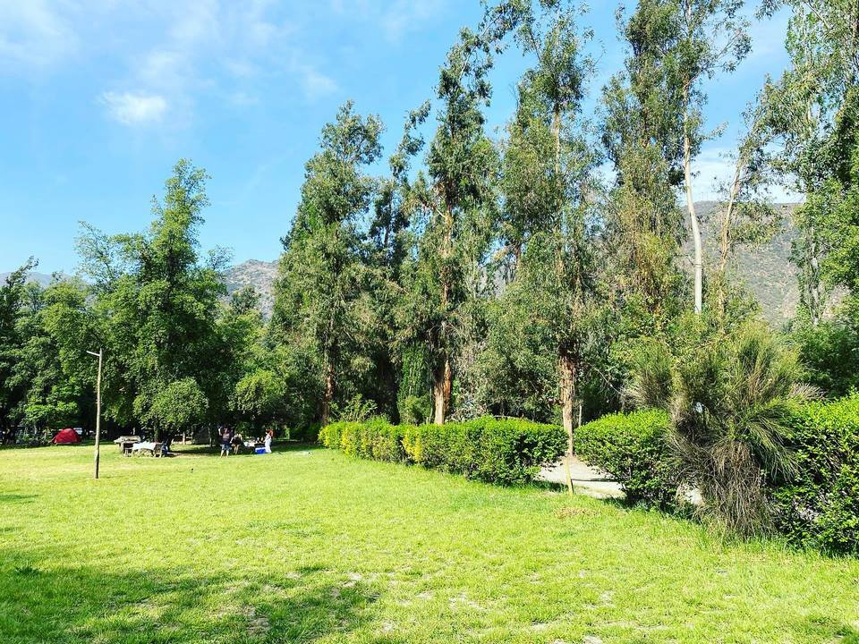 Puente de madera sobre el agua dentro del camping