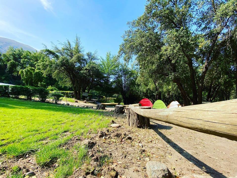 Prado verde con mesas de picnic en el camping